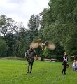 IMG_20180719_152441_1